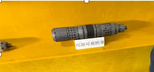 Visualizable Dissolvable Magnesium Alloy Bridge Plug